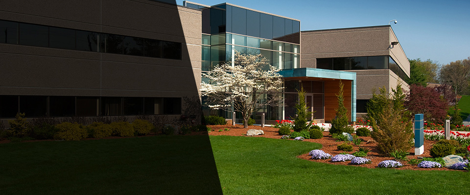 Crescent City Landscapers