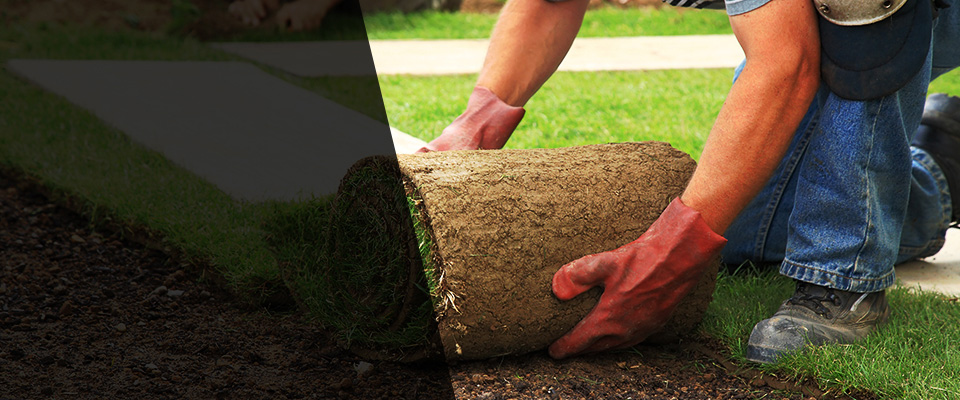 Crescent City Landscapers